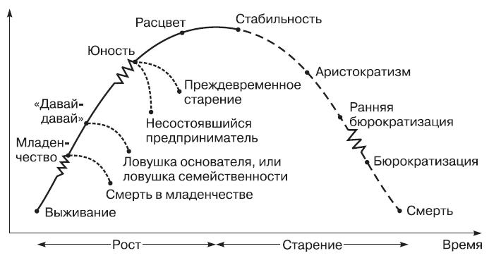 Курсовая работа по теме Модель жизненного цикла организации Л. Грейнера